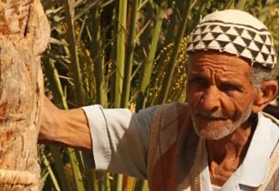 Tuniský Tozeur: Datlová oáza uprostřed pouště