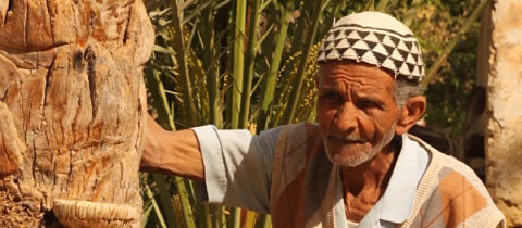 Tuniský Tozeur: Datlová oáza uprostřed pouště