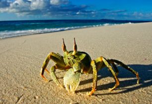 Na který ze seychelských ostrovů se vydat?