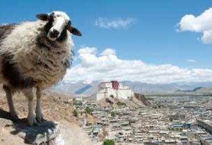 TOP 7 destinací pro rok 2014 podle redaktorů HedvabneStezky.cz