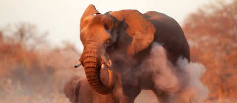 Národní park Serengeti je nejnavštěvovanějším v Tanzanii