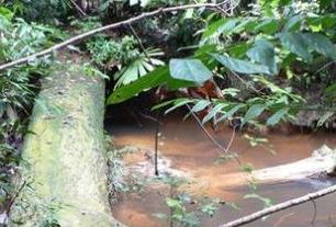 Zábavní park Toro Verde