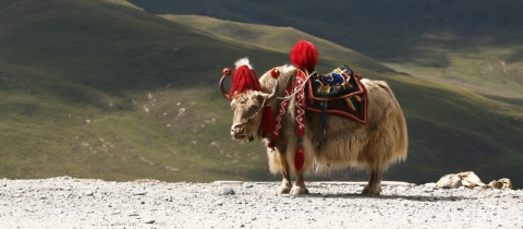 Top 7 míst, kam se vydat na aktivní dovolenou ve světě