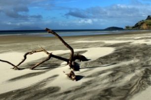 Poznejte okolí Aucklandu - černý písek a divoké vlny