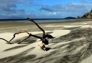 Poznejte okolí Aucklandu - černý písek a divoké vlny