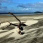 Poznejte okolí Aucklandu &#8211; černý písek a divoké vlny
