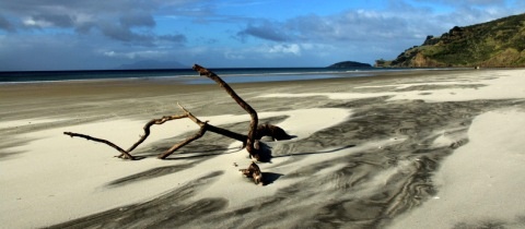 Poznejte okolí Aucklandu &#8211; černý písek a divoké vlny