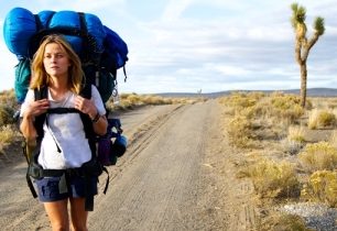 SOUTĚŽ: Za Divočinou do kina. SOUTĚŽ UKONČENA