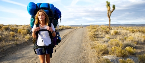 SOUTĚŽ: Za Divočinou do kina. SOUTĚŽ UKONČENA