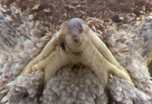 III. ČÁST SOUTĚŽE S CK MUNDO: Chyť mě, když to dokážeš! SOUTĚŽ UKONČENA