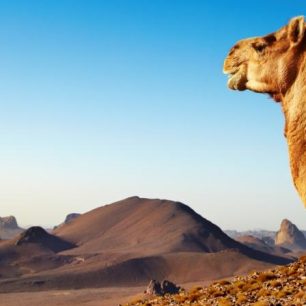 Tunisko - (ne)bezpečný ráj pro turisty