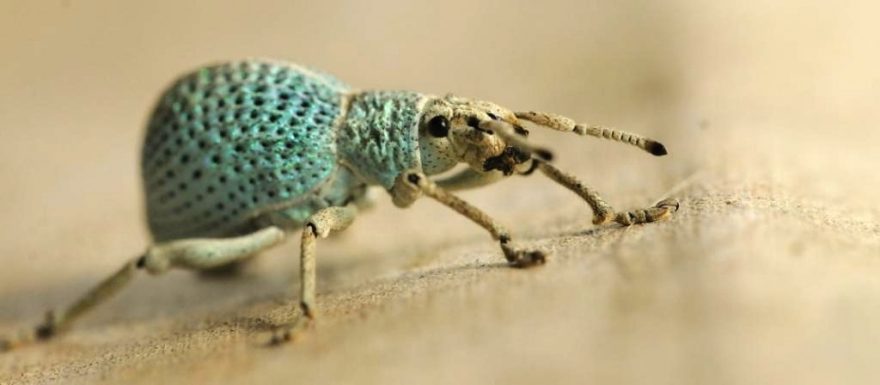 Sirinat: thajský národní park hned vedle letiště