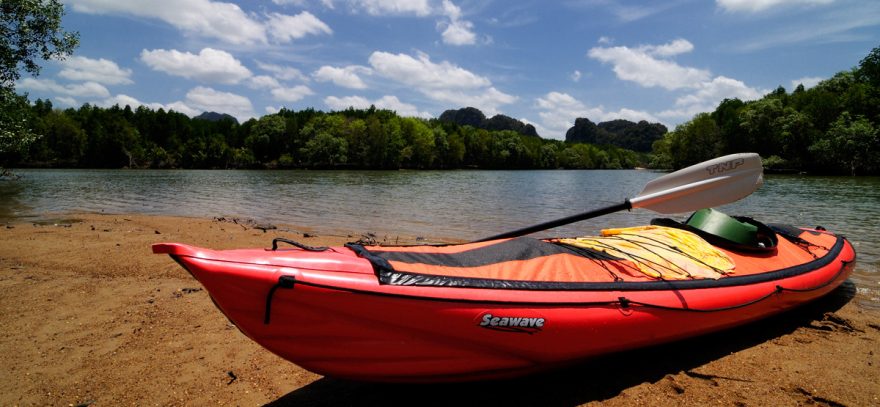 Na mořském kajaku mezi mangrovovými lesy