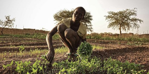 Člověk v tísni bojuje s podvýživou v Jižním Súdánu zahrádkami, pluhy i podporou trhu