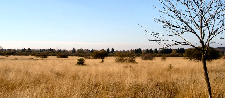 Výstup na nejvyšší belgický bod Hautes Fagnes: pozor na bažiny