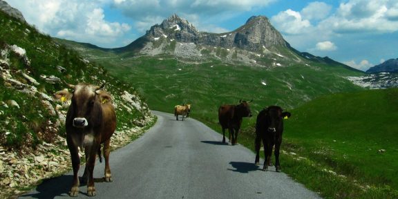 TOP 7 divů balkánského Švýcarska, Černé Hory