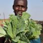 Člověk v tísni podpořil v Jižním Súdánu 36 000 lidí v boji s podvýživou