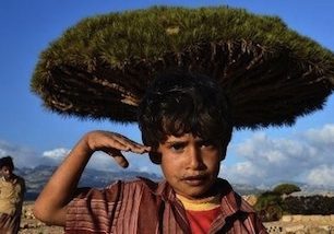 Důležitost osobní zkušenosti a další témata rozebere Arabfest v Plzni a Praze