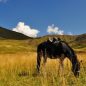 Gruzií na koni aneb nejkrásnější pohled na krajinu je z koňského sedla