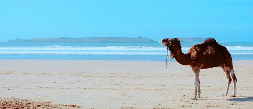 Marocký Taghazout láká surfaře, backpackery i digitální nomády