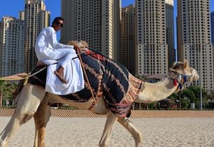 Do Dubaje nebo na Maltu s novinkami nakladatelsví Svojtka