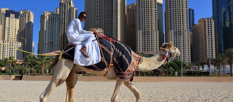 Do Dubaje nebo na Maltu s novinkami nakladatelsví Svojtka