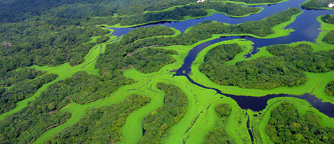 Procestujte Jižní Ameriku s cestovní kanceláří doJIŽNÍAMERIKY.cz