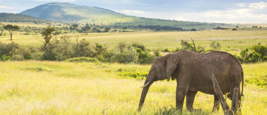 Perly východní Afriky: méně známá a levnější místa