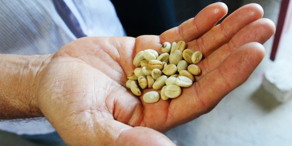 Kávová kultura v Kolumbii: od přeslazeného „tinta“ k nezapomenutelnému espressu v Eje Cafetero