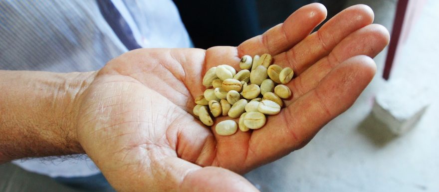 Kávová kultura v Kolumbii: od přeslazeného „tinta“ k nezapomenutelnému espressu v Eje Cafetero