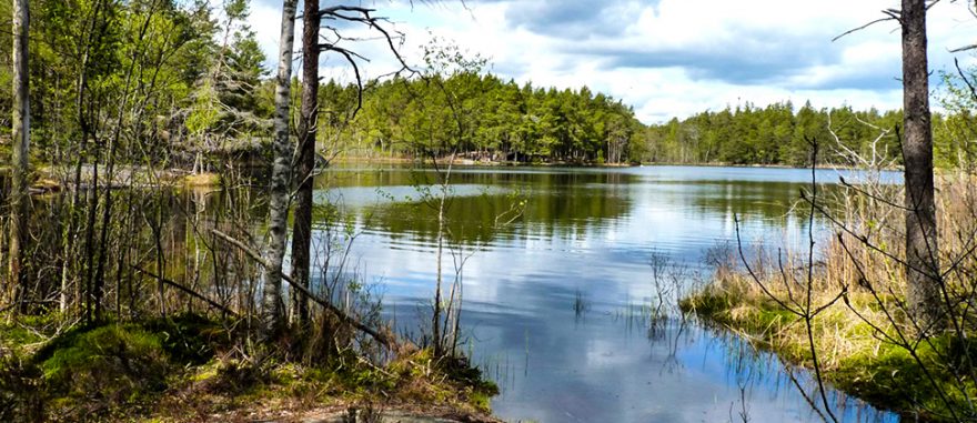 Švédský NP Tyresta: nedotčená příroda na dosah Stockholmu 