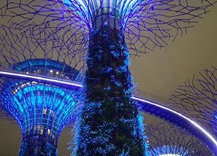 Průvodce po Singapuru: Co stihnout během stopoveru 