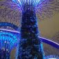 Průvodce po Singapuru: Co stihnout během stopoveru