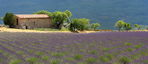 Letošní novinky z nakladatelství Jota! Procestujte Itálii, Srí Lanku a Francii s novými průvodci Rough Guides