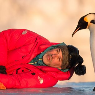 Volání oceánu, volné pokračování legendárního Putování tučňáků