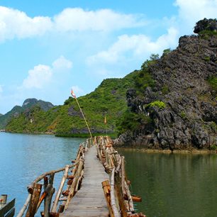 Národní park Cat Ba Island ve Vietnamu, jediné místo, kde žije langur s bílou hlavou