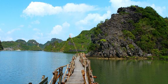 Národní park Cat Ba Island ve Vietnamu, jediné místo, kde žije langur s bílou hlavou