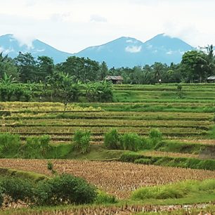 Co nevynechat při návštěvě Bali? Výšlap na sopku, procházka po rýžových polích či vodopády