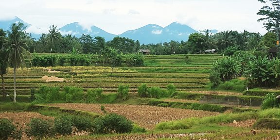 Co nevynechat při návštěvě Bali? Výšlap na sopku, procházka po rýžových polích či vodopády