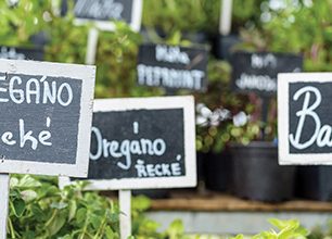 Nové kuchařky ve Smart Pressu: Švédská a Zeleninová kuchařka