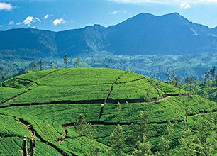 Centrální vysočina Srí Lanky - která místa nevynechat?