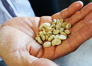 NEWSLETTER HedvabnaStezka.cz: Cesty za etnokuchyní po celém světě