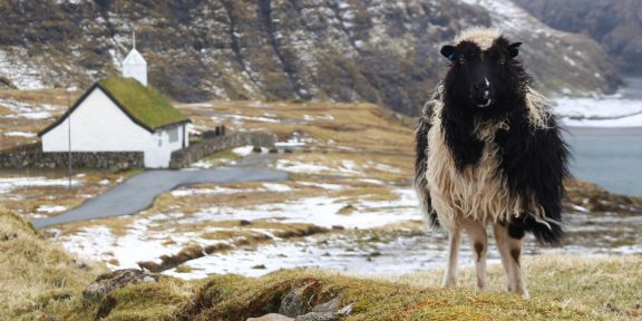 Faerské ostrovy budete mít v zimě jen pro sebe. Pokud vás přesto nelákají, prohlédněte si je díky google sheep view