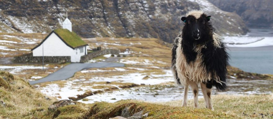 Faerské ostrovy budete mít v zimě jen pro sebe. Pokud vás přesto nelákají, prohlédněte si je díky google sheep view