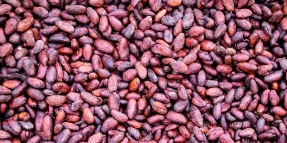 Po stopách kakaa: Původní kakaový nápoj byl hořký s chilli a kořením
