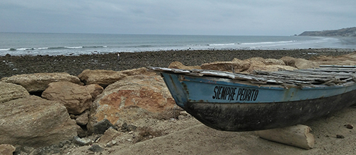 Jak jsem přežila zemětřesení