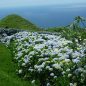 Azory: Zapomenutý sopečný ráj v Atlantickém oceánu