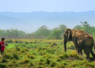 Nepál: NP Chitwan je oáza zeleně, v níž žije okolo 350 majestátných nosorožců