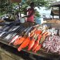 Všechny rozmanité chutě Srí Lanky. Co na ostrově ochutnat a čemu se raději vyhnout?