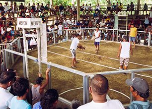 Dva kohouti na jednom dvorku, zápasy jsou pro Filipínce zdrojem zábavy i touhy po hazardu